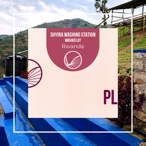 Rwanda - Shyira | Red Bourbon - Filter Roaster